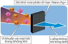 Hệ thống khử mùi diệt khuẩn tiên tiến Hybrid Bio