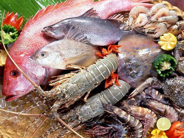 Bộ lọc khử mùi giúp khử sạch mùi hôi 